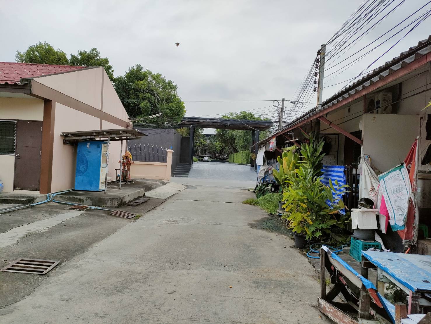 ให้เช่าที่ดินเปล่าถมแล้วในถนนมัยลาภ กรุงเทพมหานคร